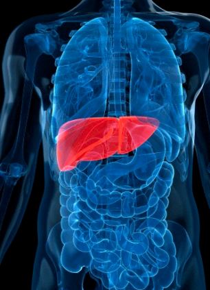 Gastroenterology Hospital in Bangalore