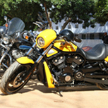 Harley Rally