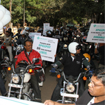 Harley Rally